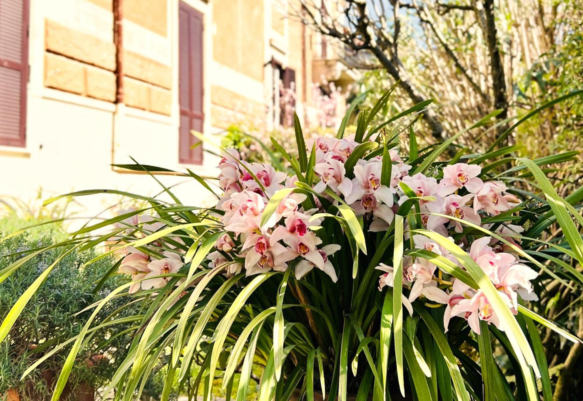 Villa Michelangelo Deluxe Roma Exterior foto